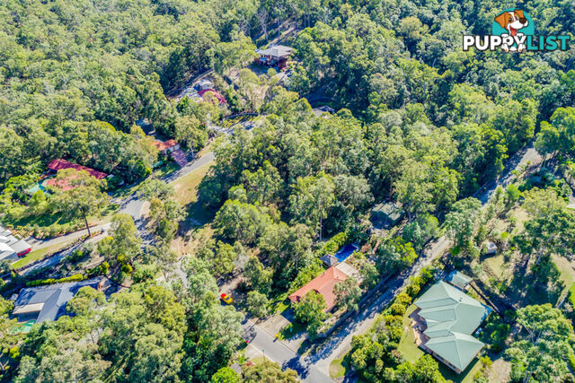 20 Country View Drive NERANG QLD 4211