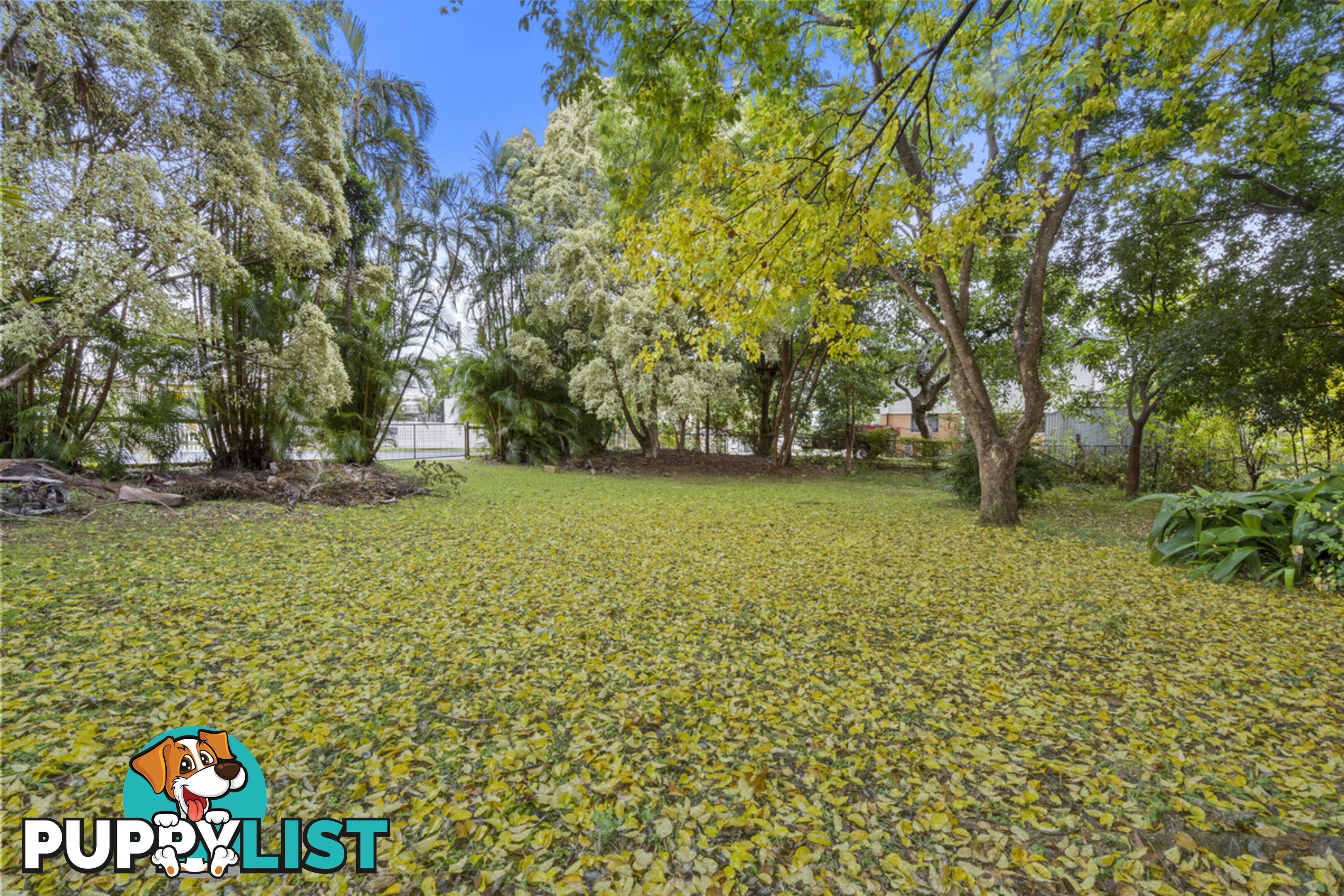 12-16 Lawton Lane CANUNGRA QLD 4275