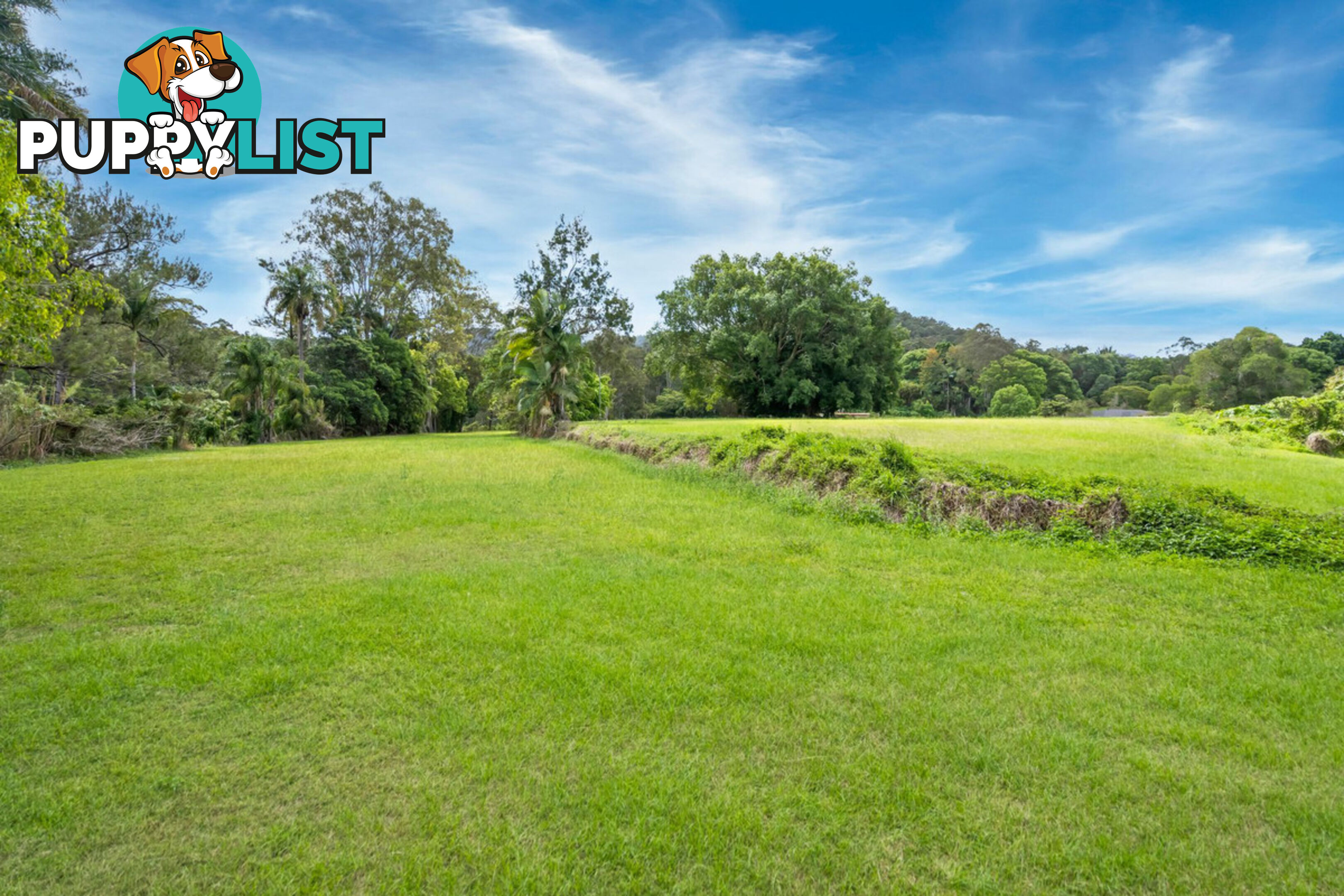 1137 Beaudesert-Nerang Road CLAGIRABA QLD 4211