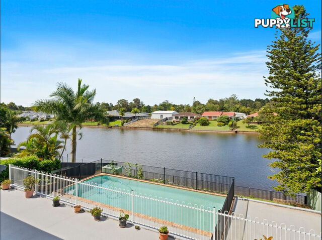 59 Cabana Boulevard BENOWA QLD 4217