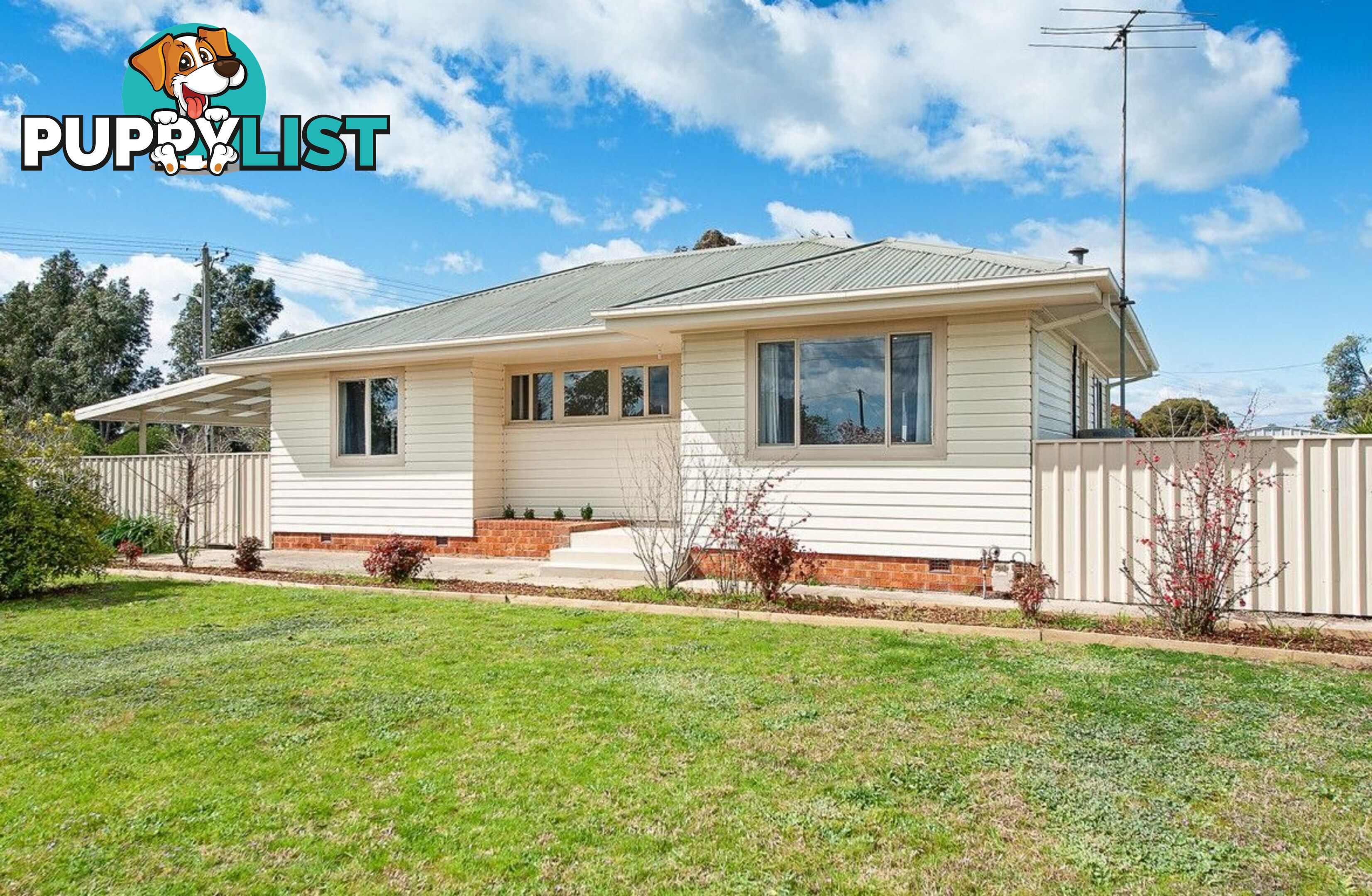 1022 Calimo Street NORTH ALBURY NSW 2640