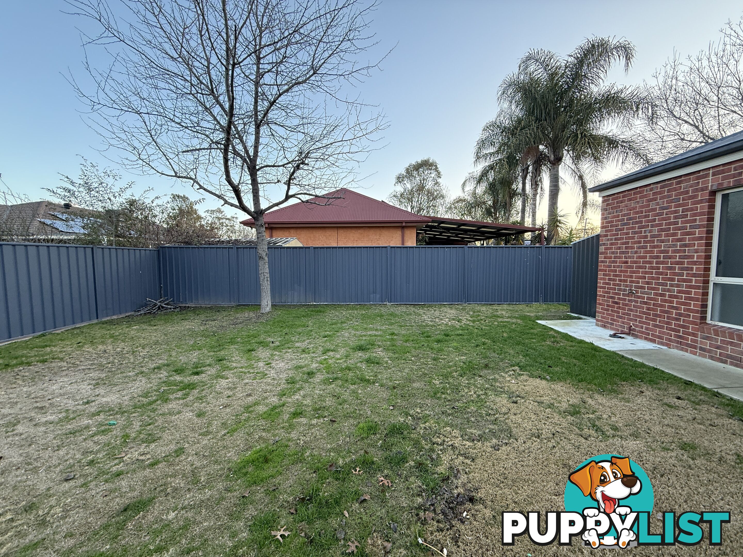 67 Adams Street JINDERA NSW 2642