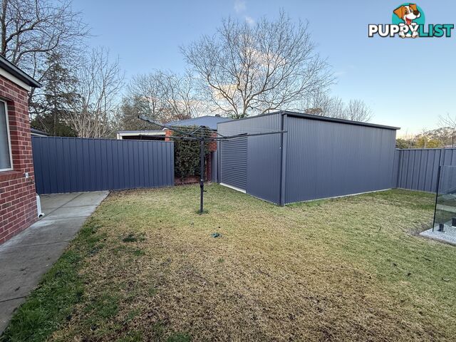 67 Adams Street JINDERA NSW 2642