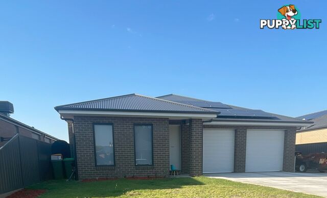 5 Holly Tree Court JINDERA NSW 2642