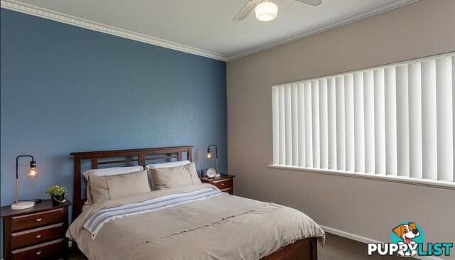 222 Kooba Street NORTH ALBURY NSW 2640