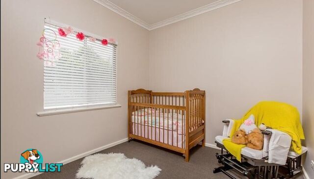 222 Kooba Street NORTH ALBURY NSW 2640