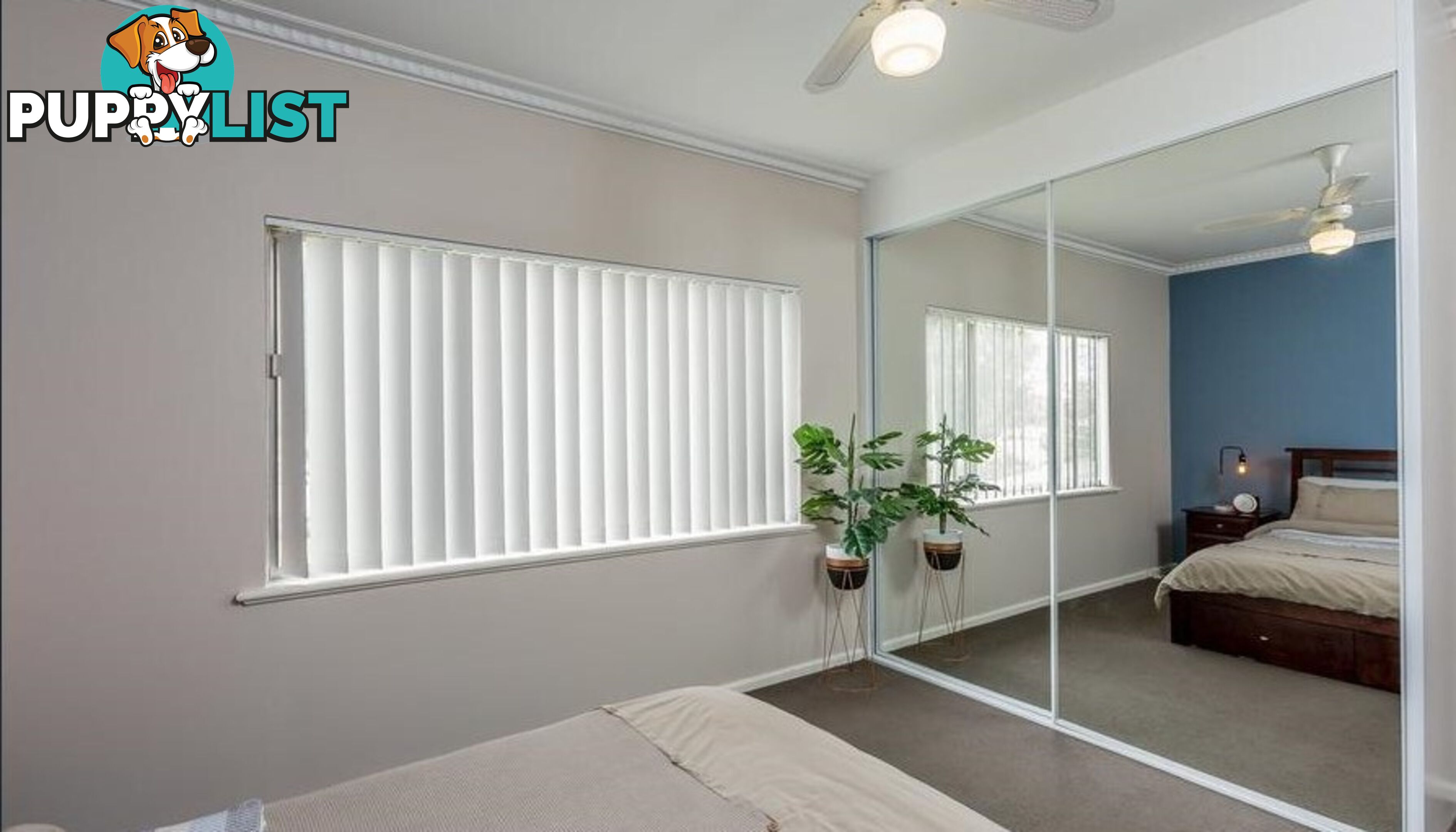 222 Kooba Street NORTH ALBURY NSW 2640