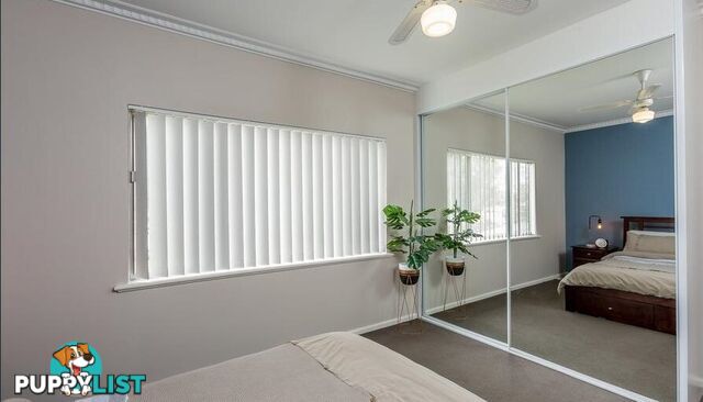 222 Kooba Street NORTH ALBURY NSW 2640