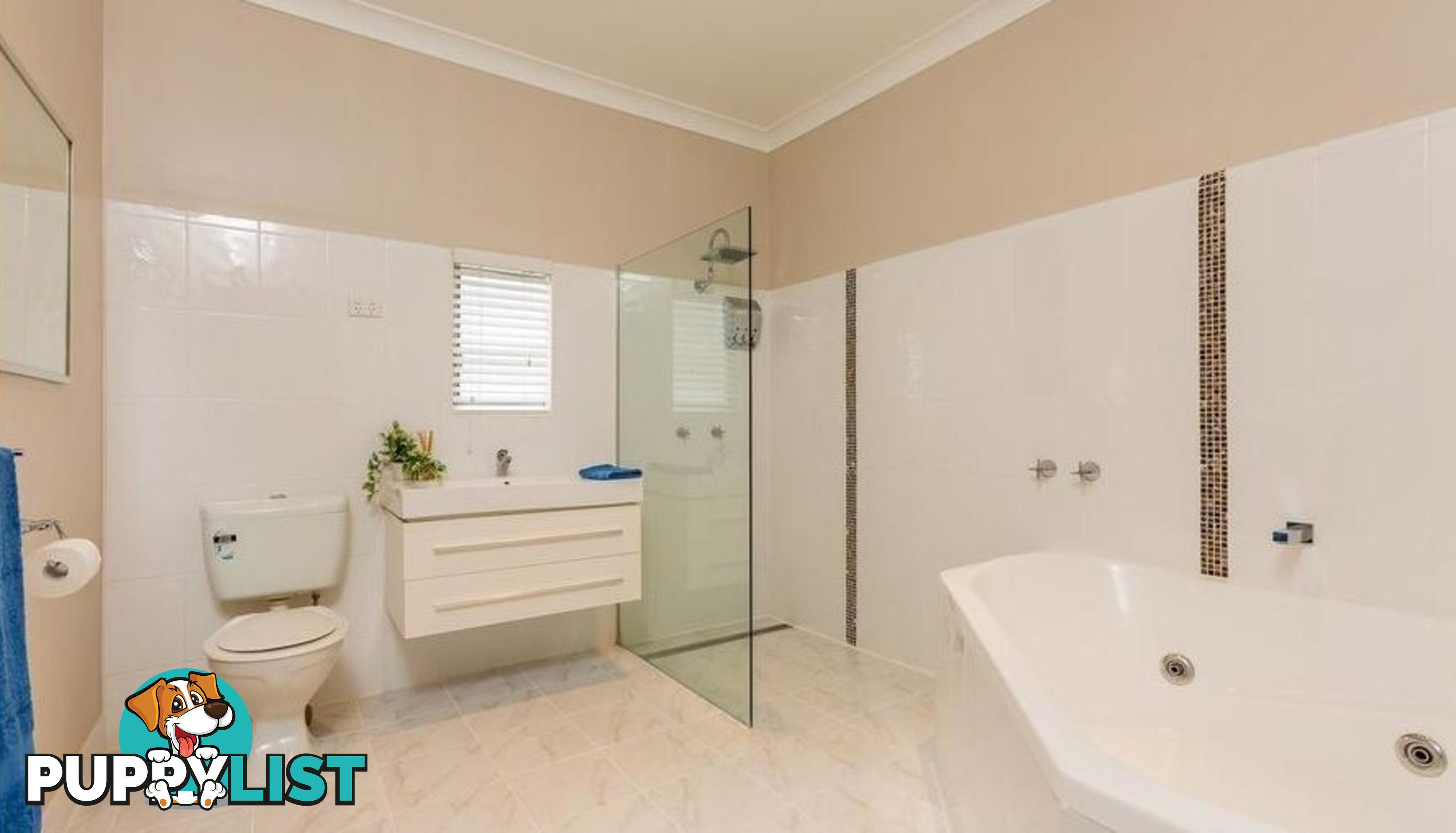 222 Kooba Street NORTH ALBURY NSW 2640