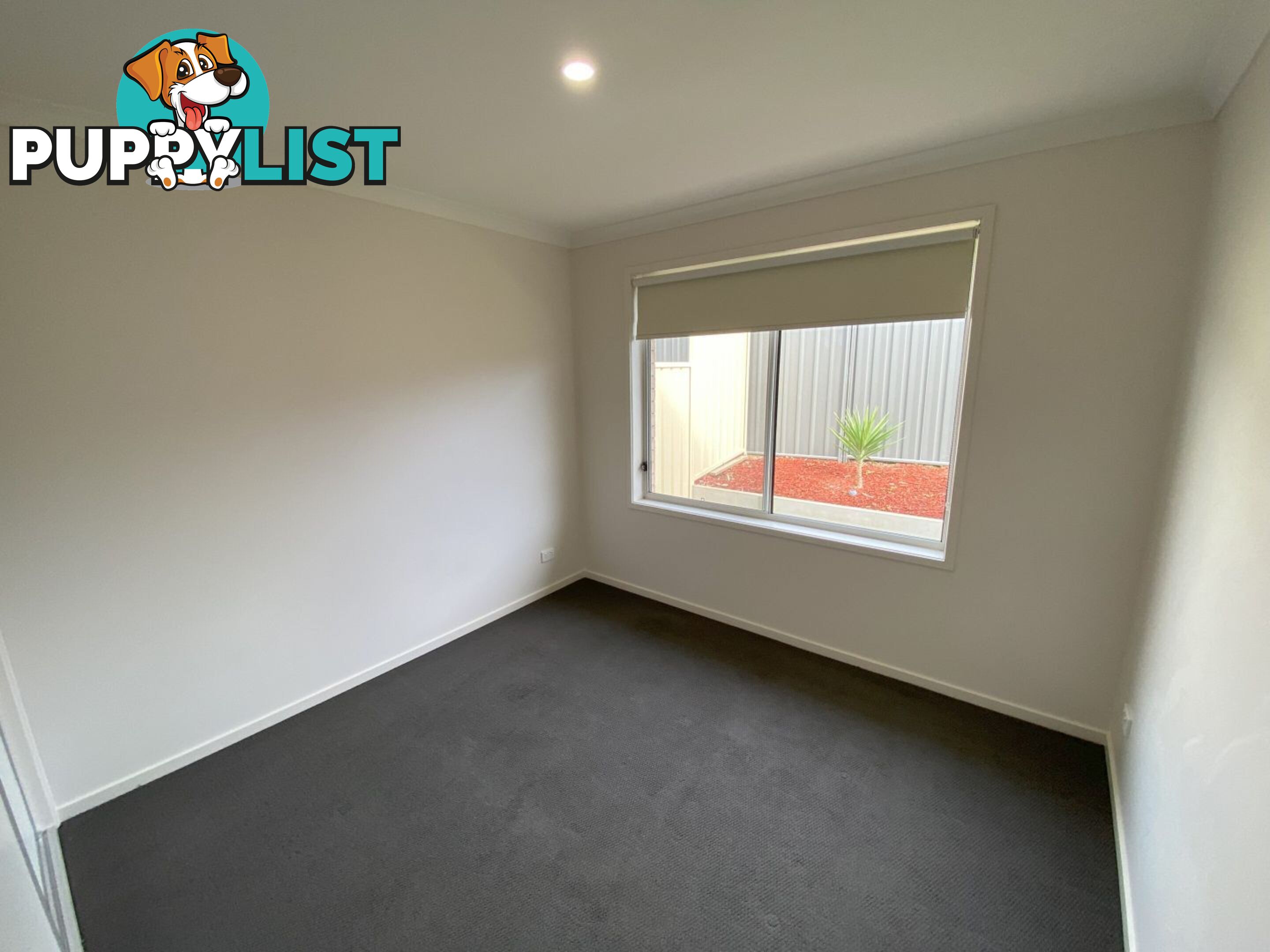 65B Carstens Street LAVINGTON NSW 2641