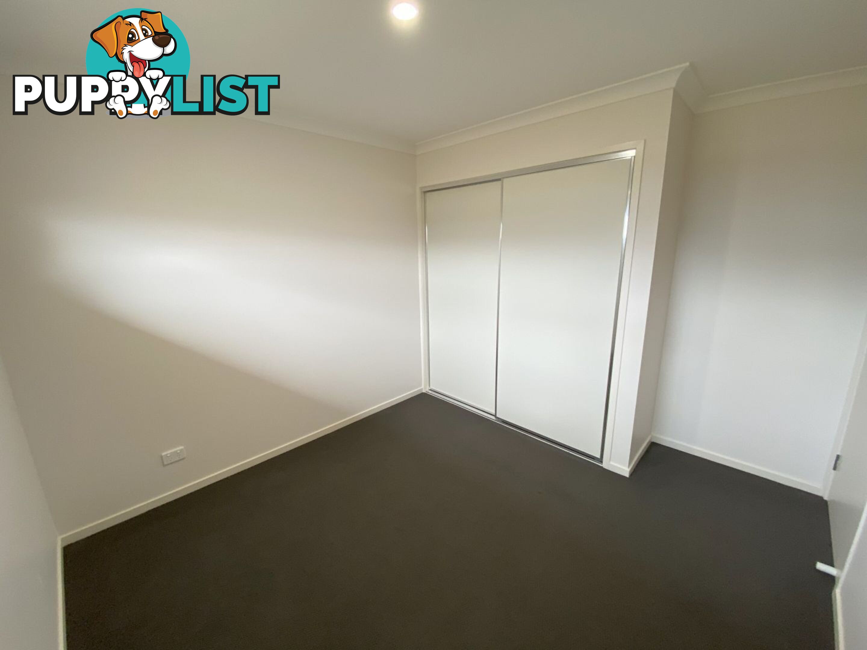 65B Carstens Street LAVINGTON NSW 2641