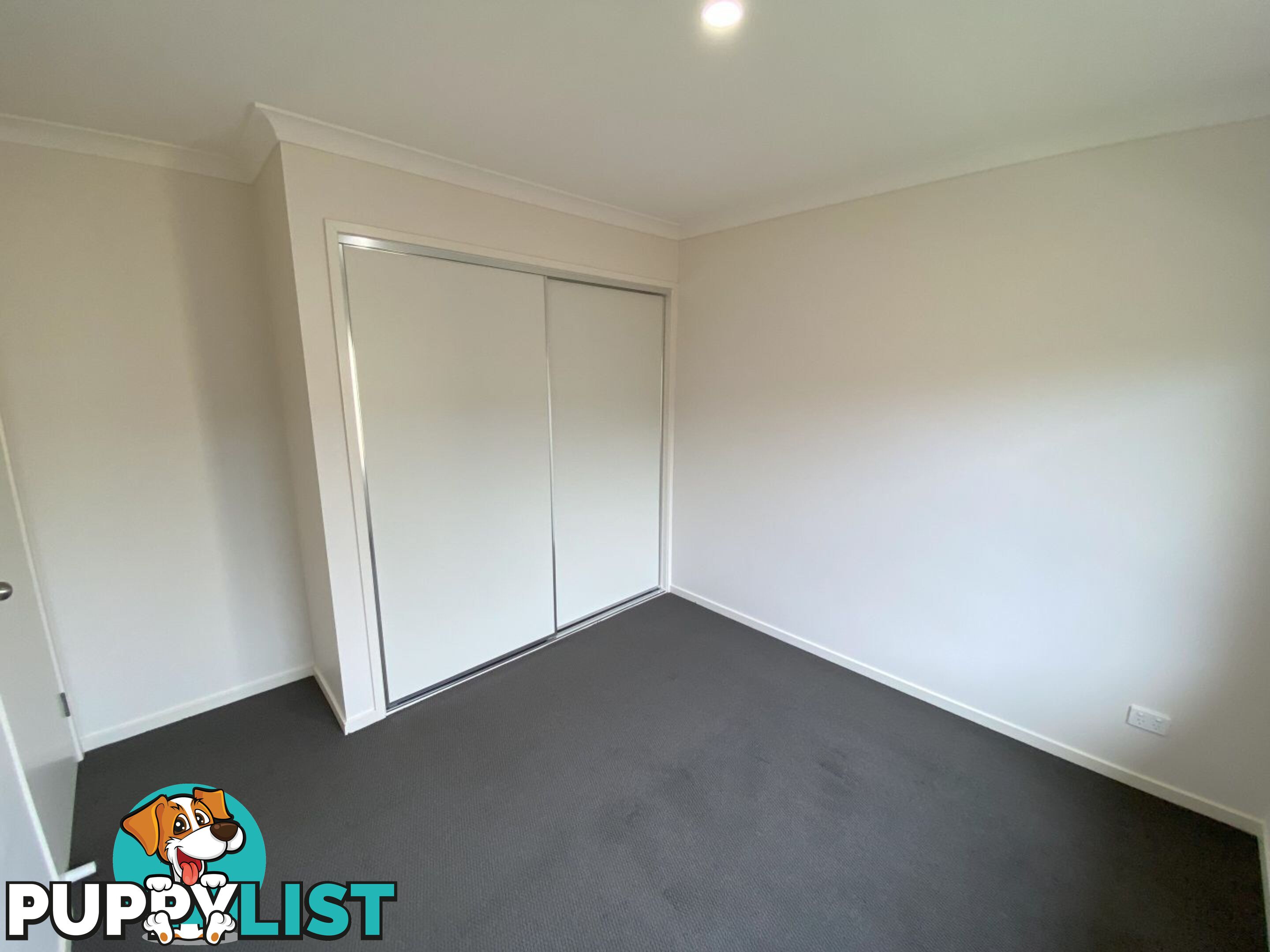 65B Carstens Street LAVINGTON NSW 2641