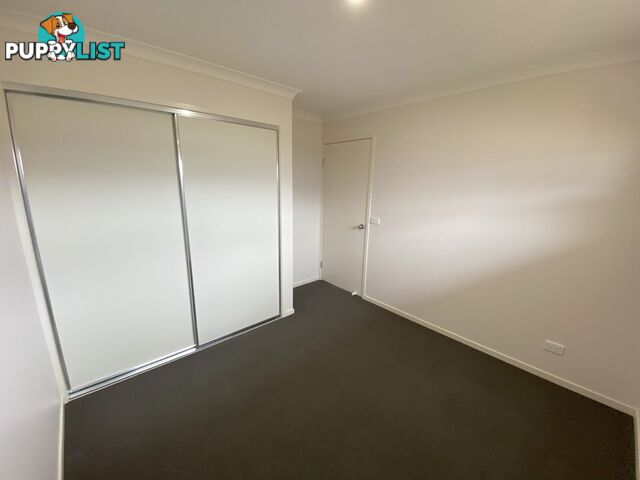 65B Carstens Street LAVINGTON NSW 2641