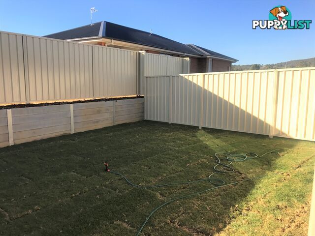 65B Carstens Street LAVINGTON NSW 2641