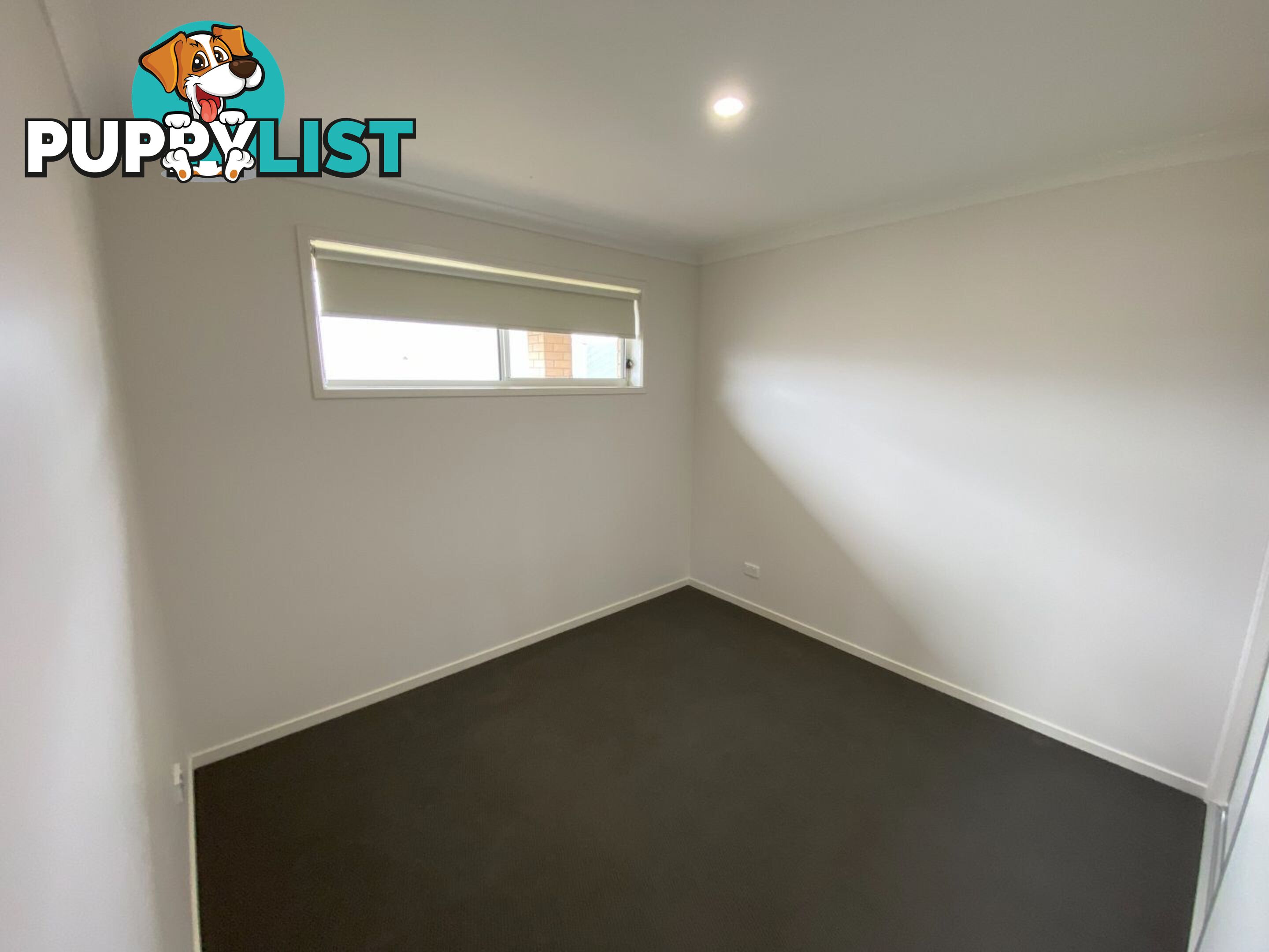 65B Carstens Street LAVINGTON NSW 2641