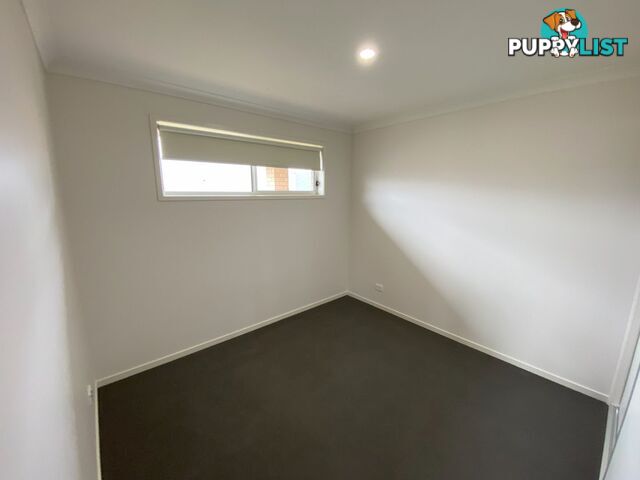 65B Carstens Street LAVINGTON NSW 2641
