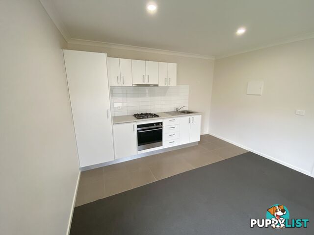65B Carstens Street LAVINGTON NSW 2641