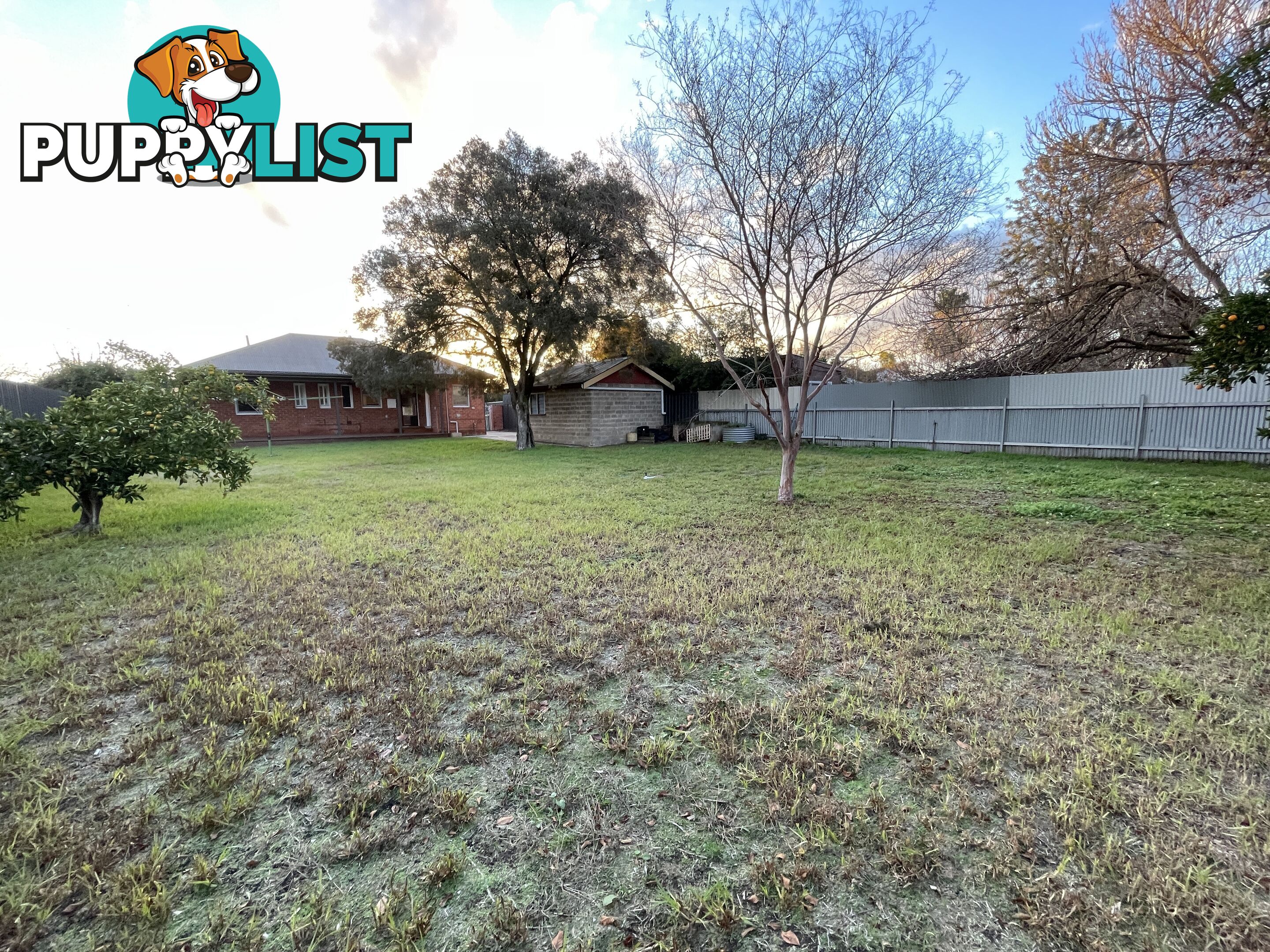 958 Sylvania Avenue NORTH ALBURY NSW 2640