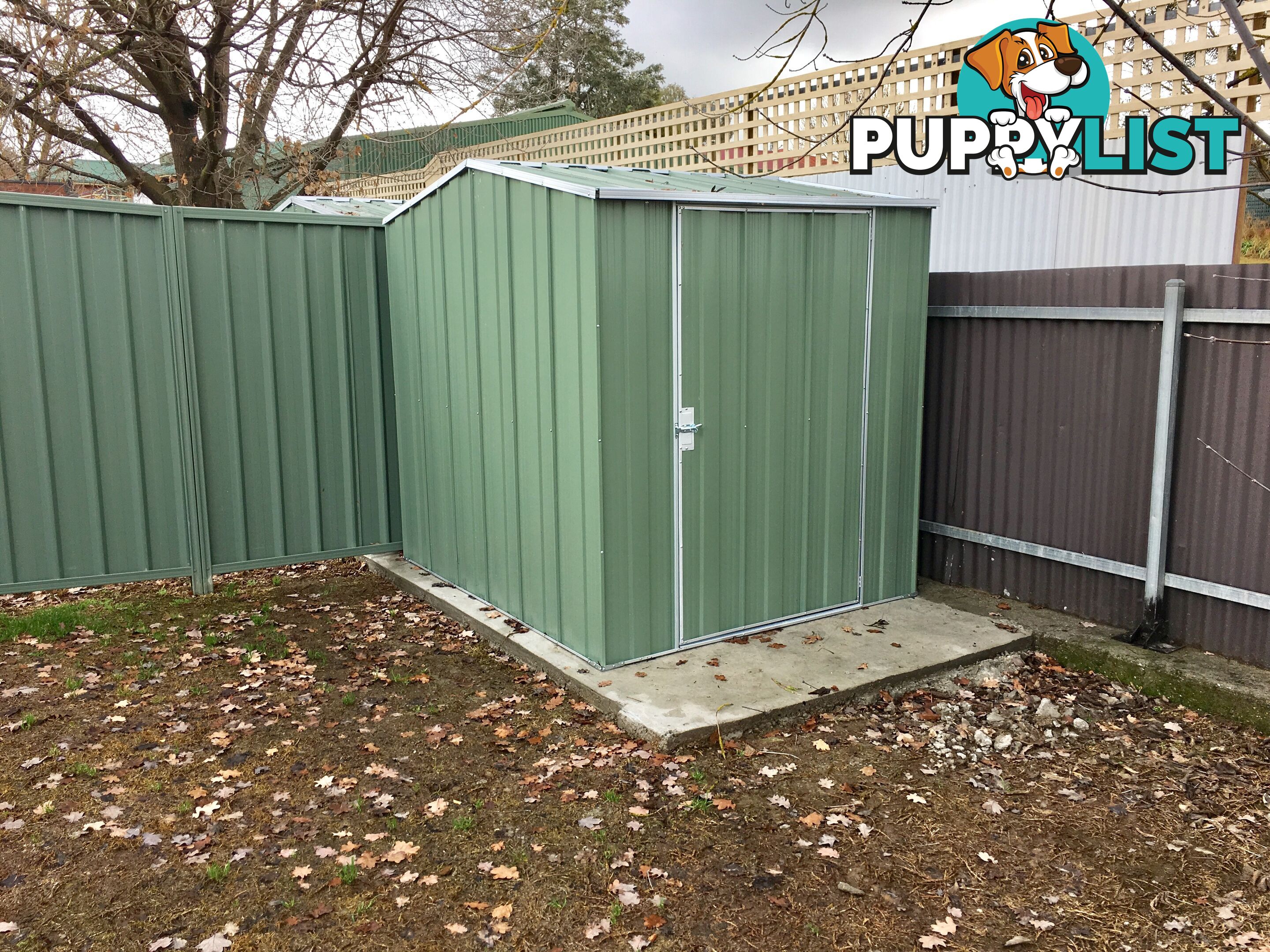 652b Pearsall Street LAVINGTON NSW 2641