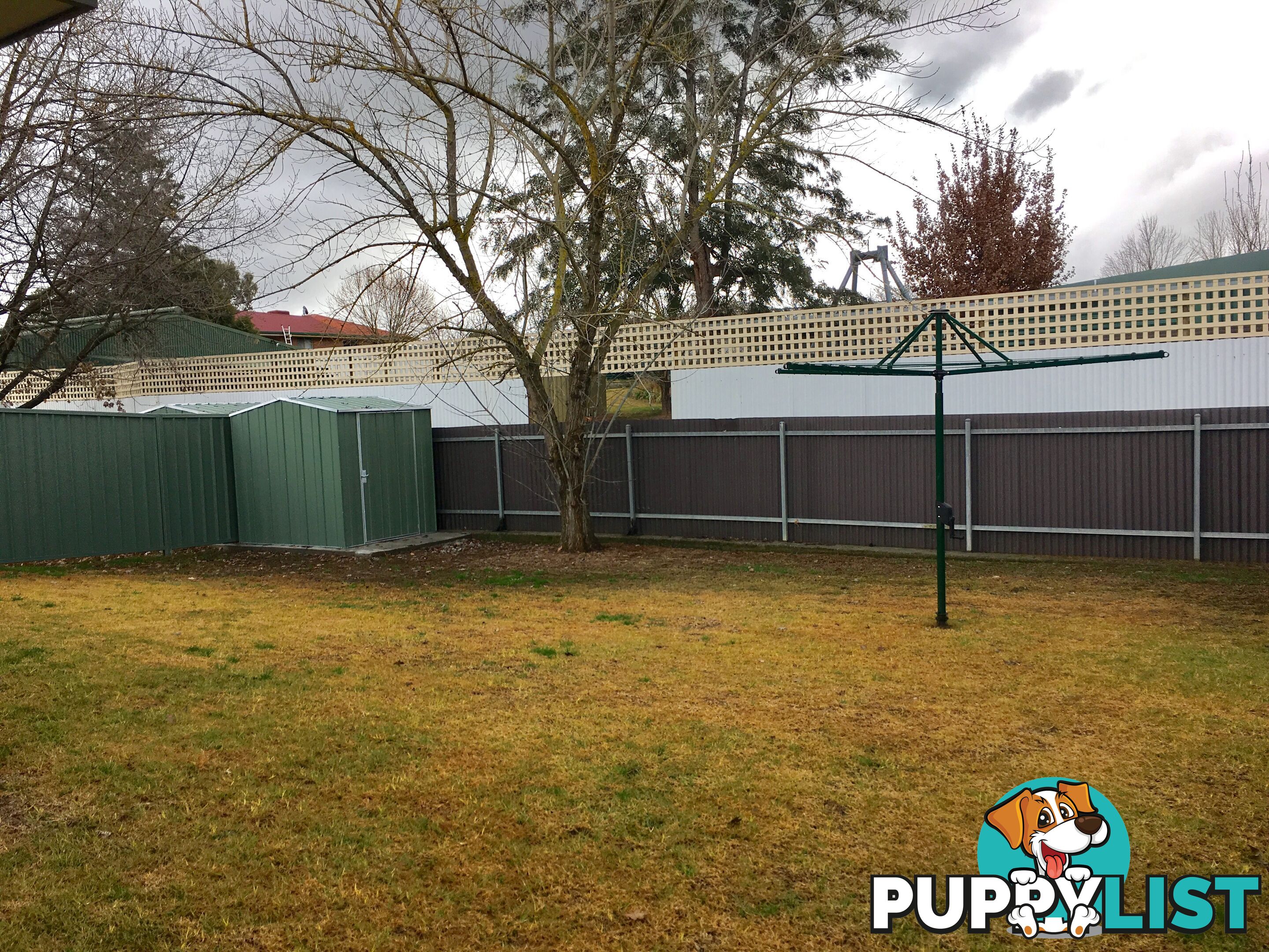 652b Pearsall Street LAVINGTON NSW 2641