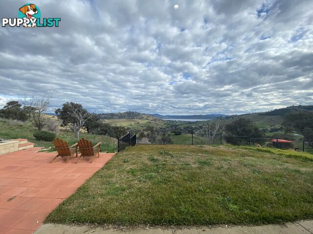 The Apartment, Murray Glades Homestead 45 Rowley Lane BETHANGA VIC 3691