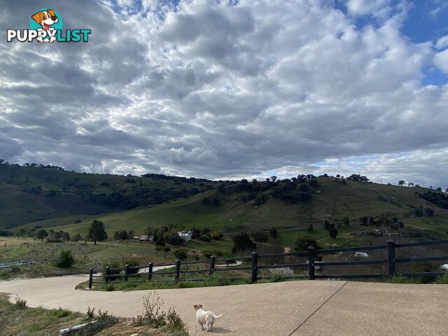 The Apartment, Murray Glades Homestead 45 Rowley Lane BETHANGA VIC 3691