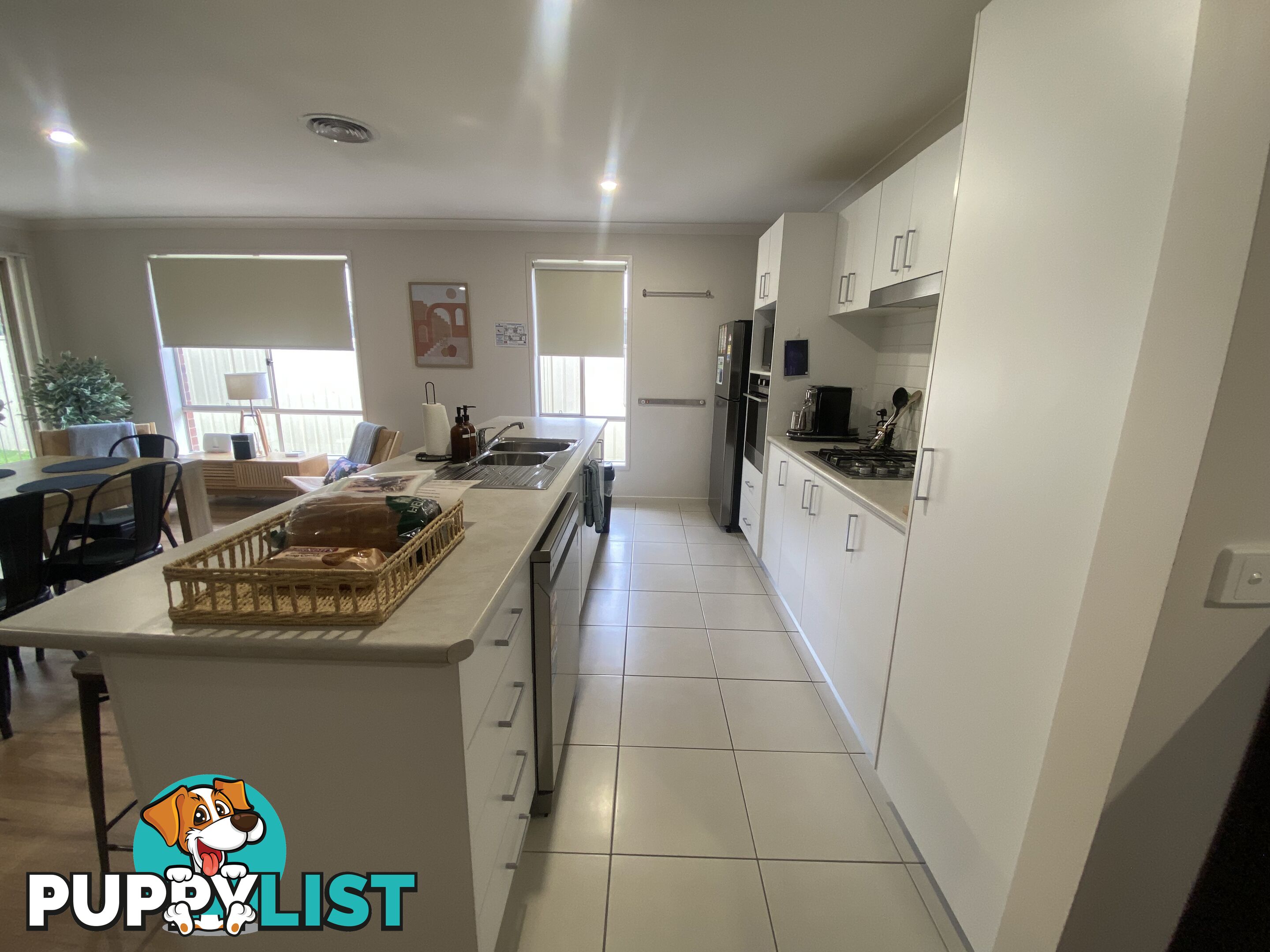 60 Royce Crescent LAVINGTON NSW 2641
