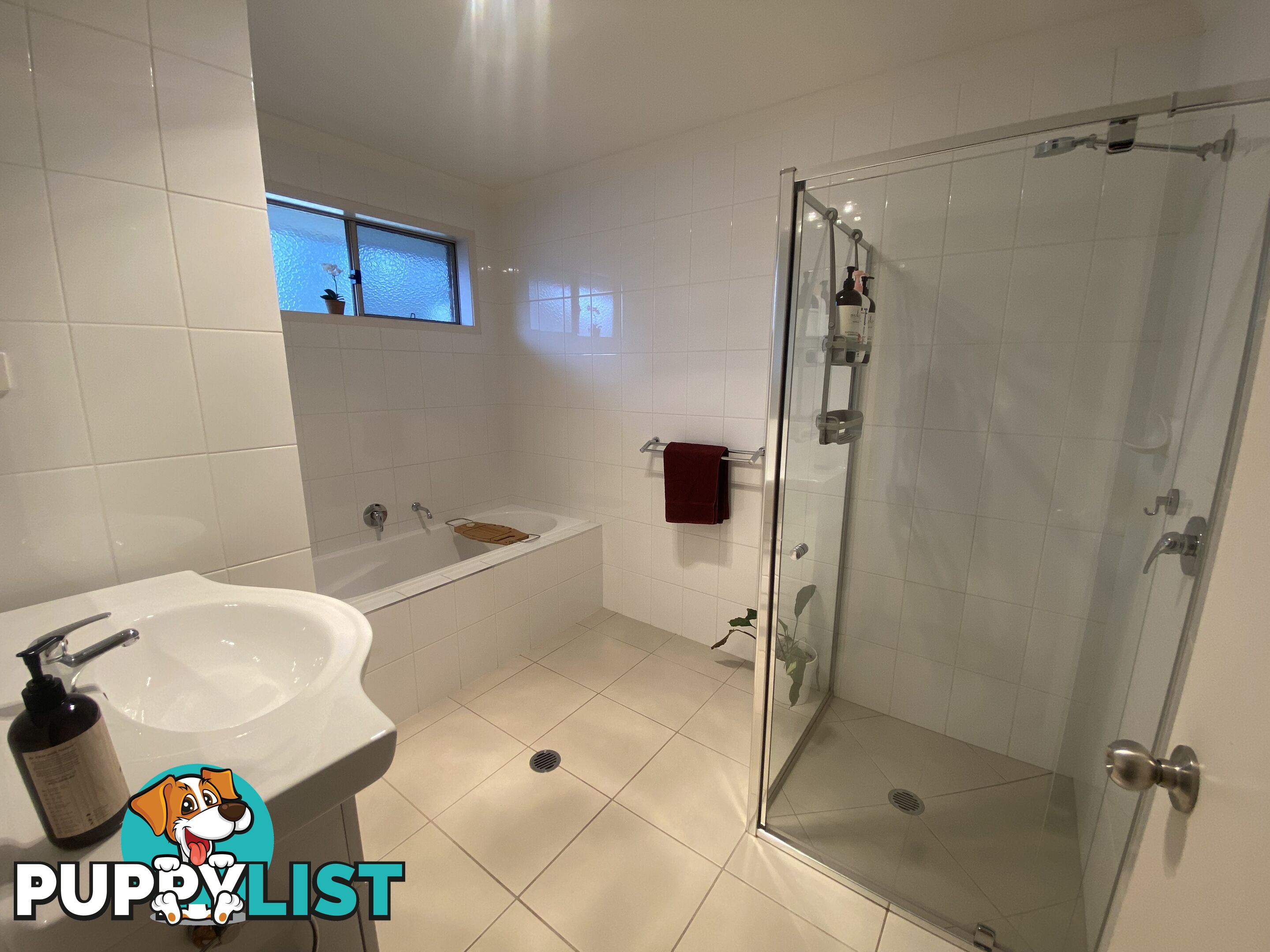 60 Royce Crescent LAVINGTON NSW 2641