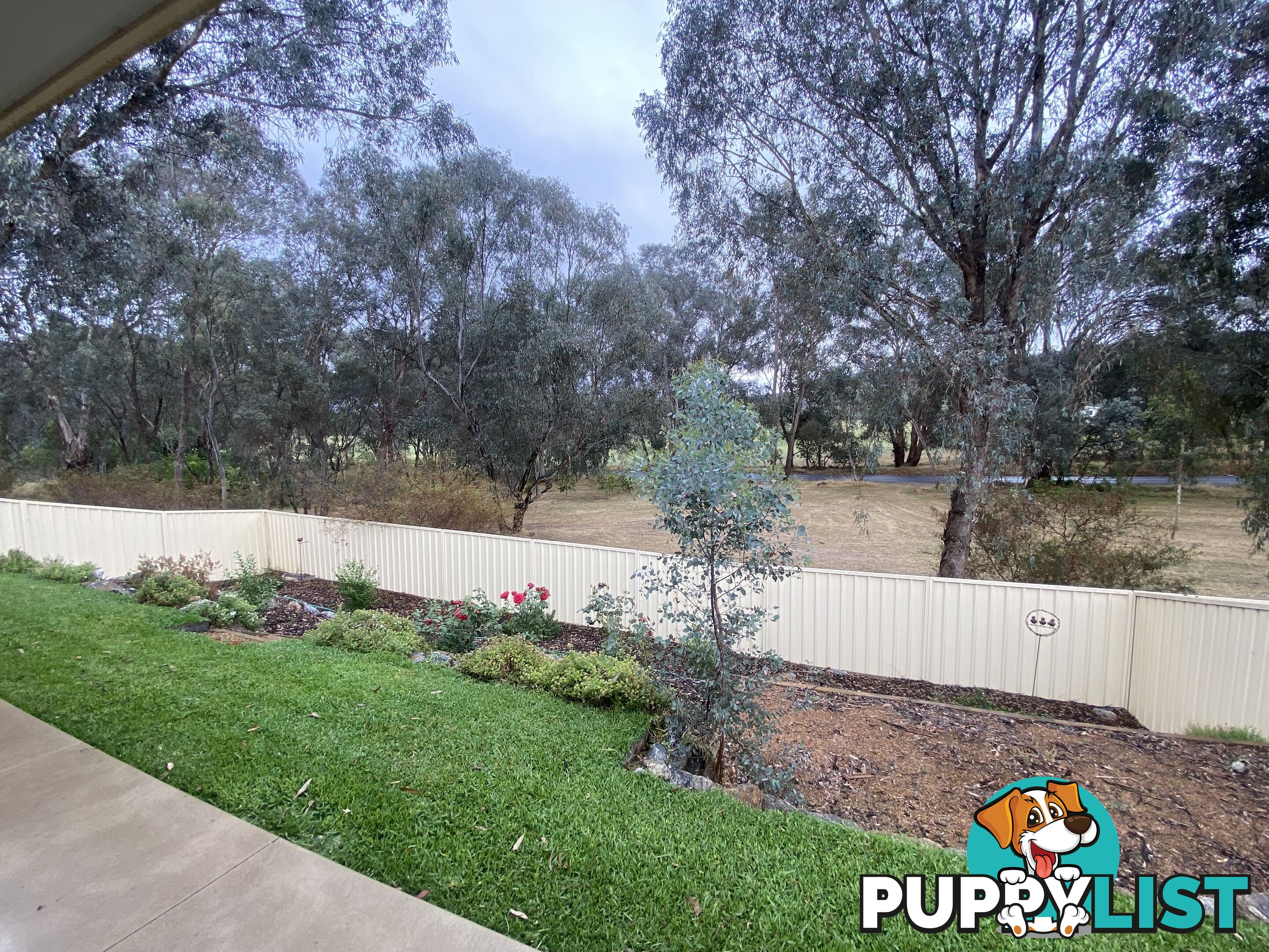60 Royce Crescent LAVINGTON NSW 2641
