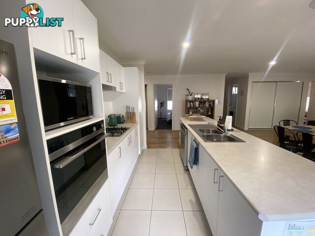 60 Royce Crescent LAVINGTON NSW 2641