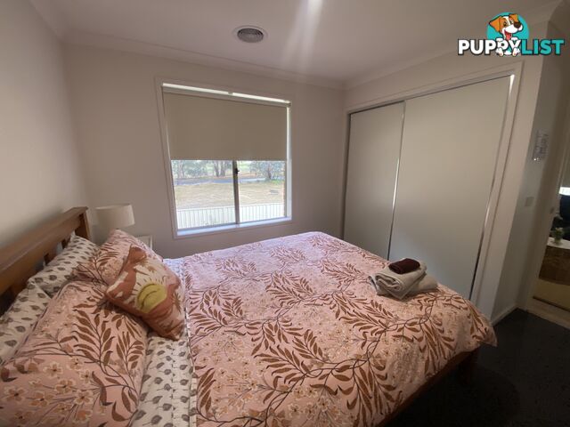 60 Royce Crescent LAVINGTON NSW 2641