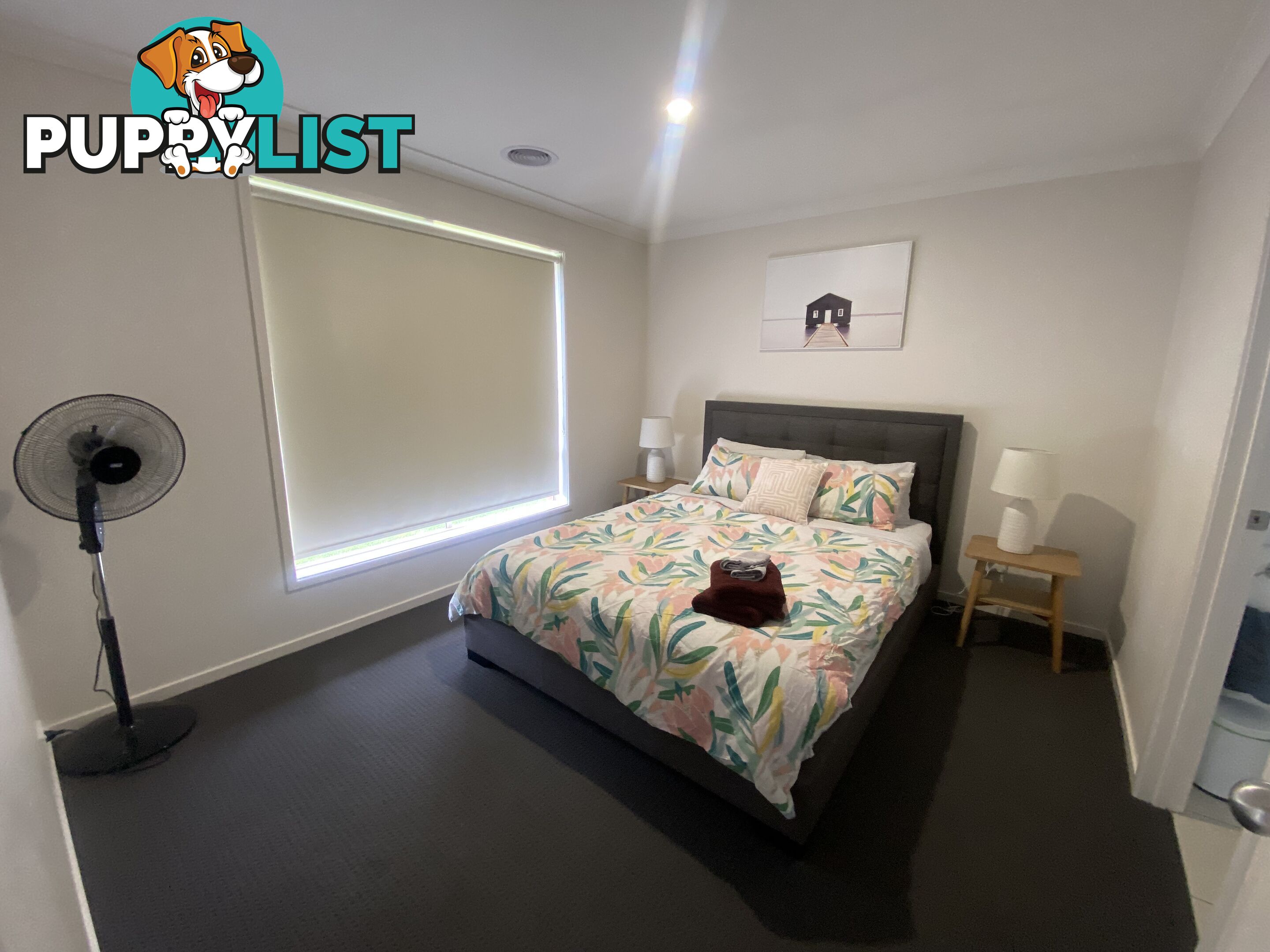 60 Royce Crescent LAVINGTON NSW 2641
