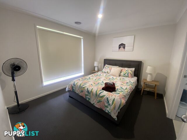 60 Royce Crescent LAVINGTON NSW 2641