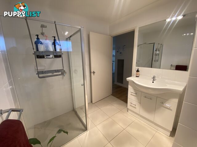60 Royce Crescent LAVINGTON NSW 2641