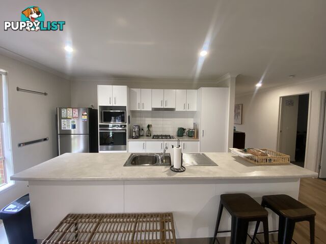 60 Royce Crescent LAVINGTON NSW 2641