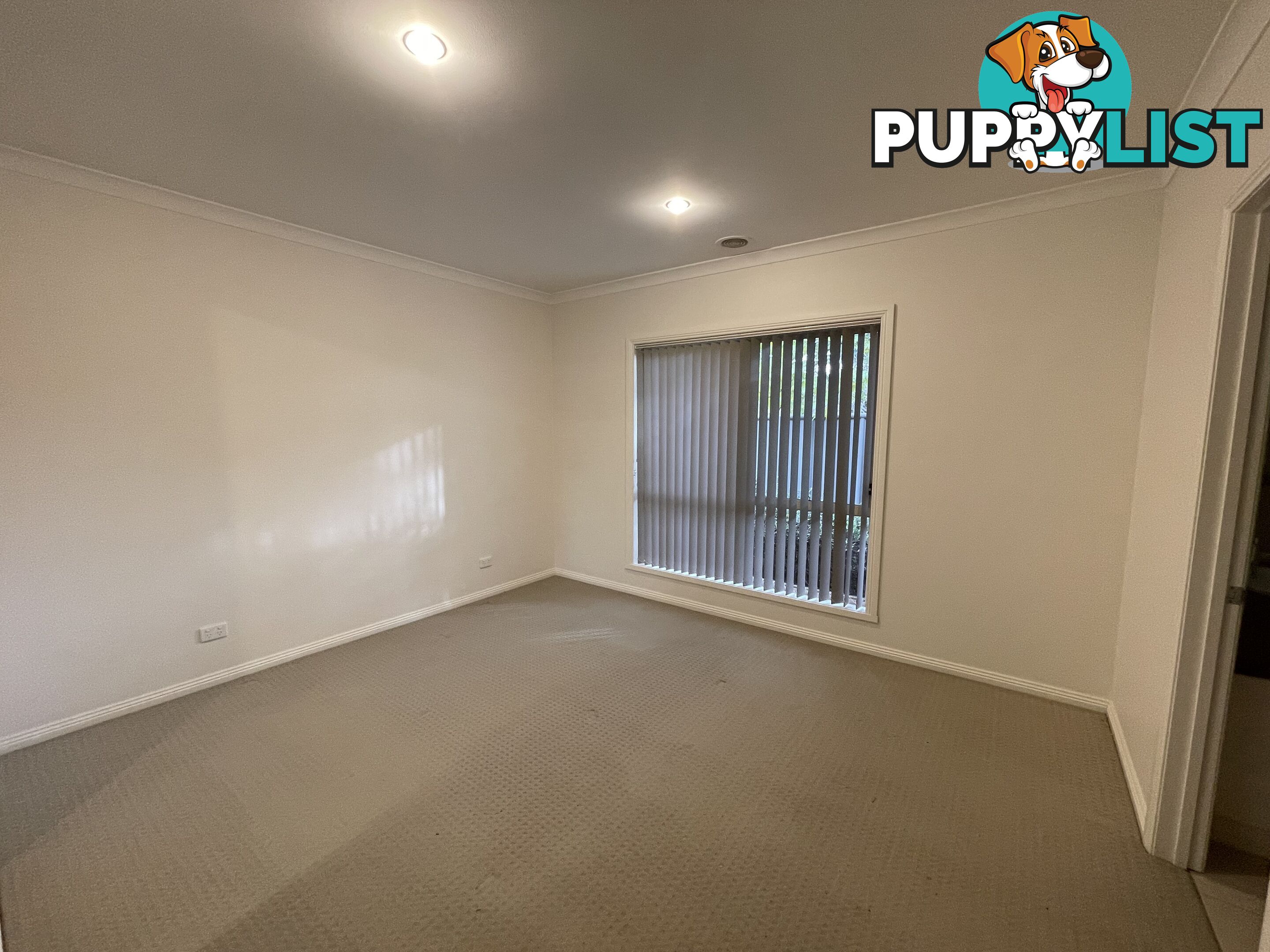 5 585 Livermore Street LAVINGTON NSW 2641