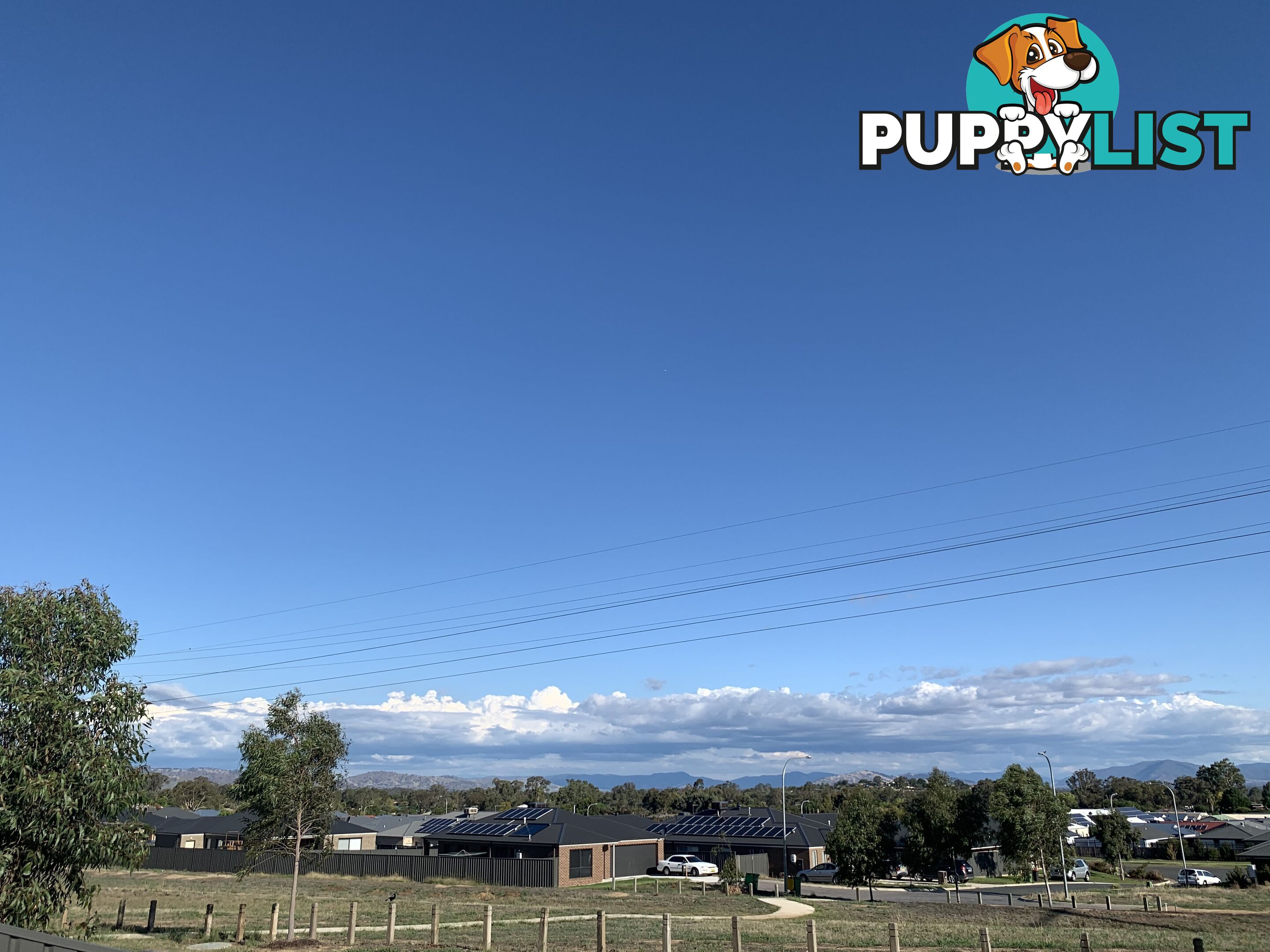 3 Texas Court SPRINGDALE HEIGHTS NSW 2641