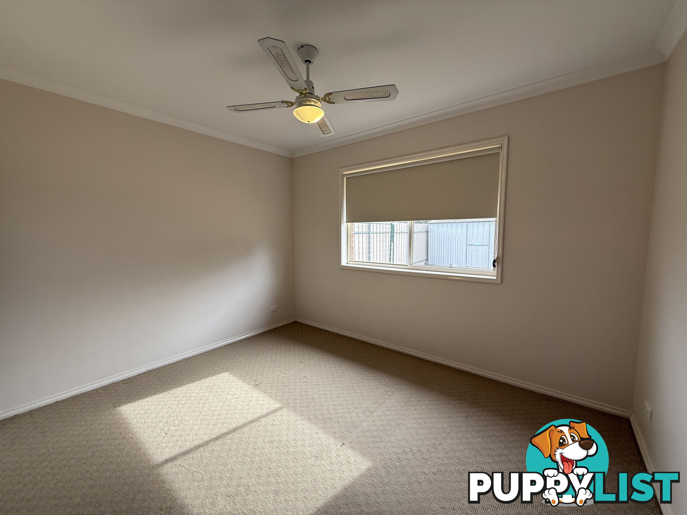 1 338 Wantigong Street NORTH ALBURY NSW 2640