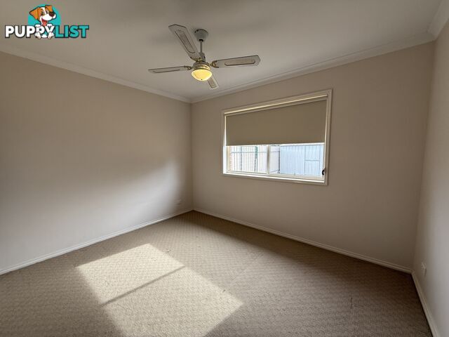 1 338 Wantigong Street NORTH ALBURY NSW 2640