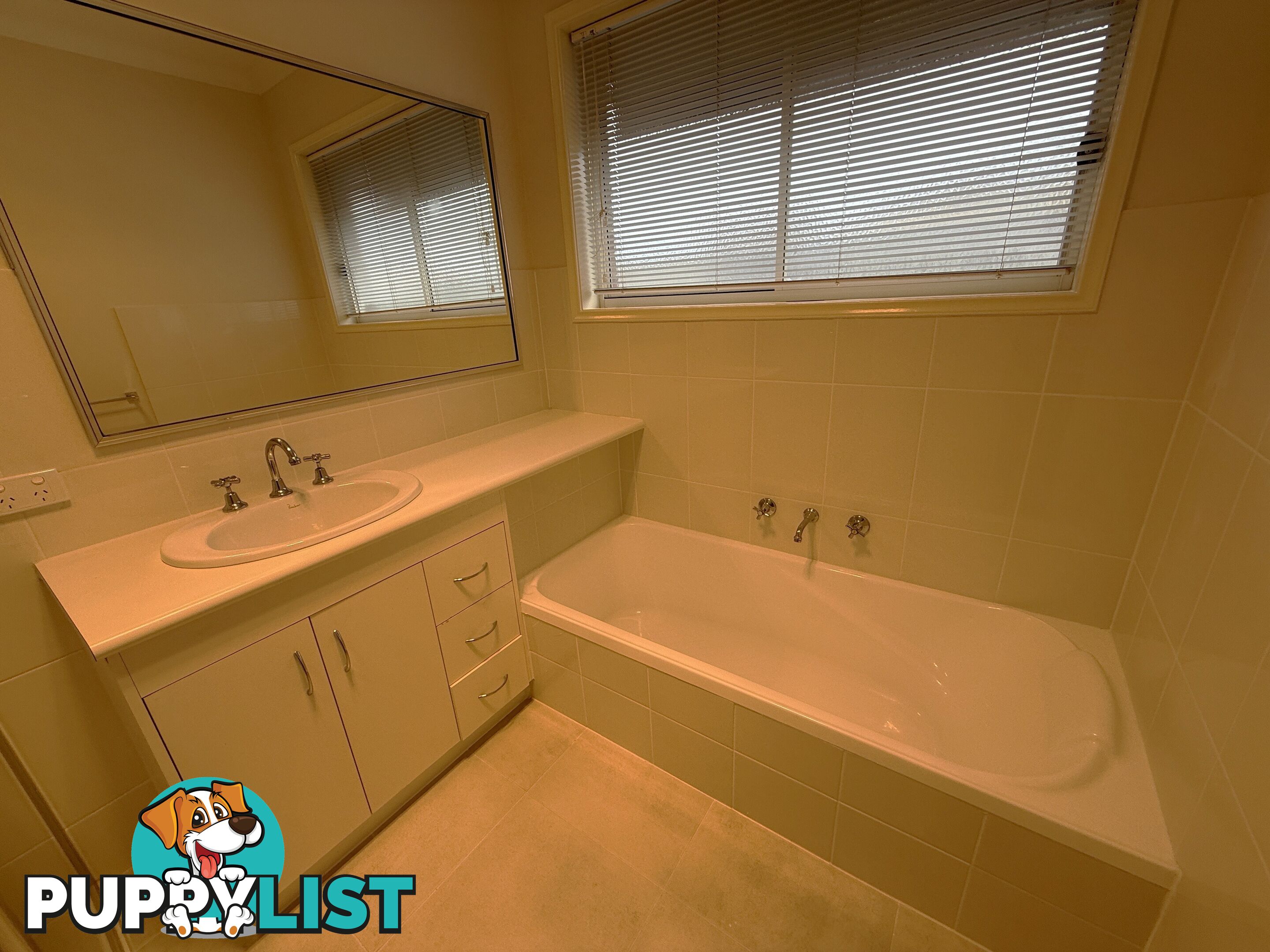 1 338 Wantigong Street NORTH ALBURY NSW 2640