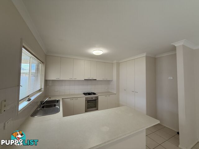 1 338 Wantigong Street NORTH ALBURY NSW 2640