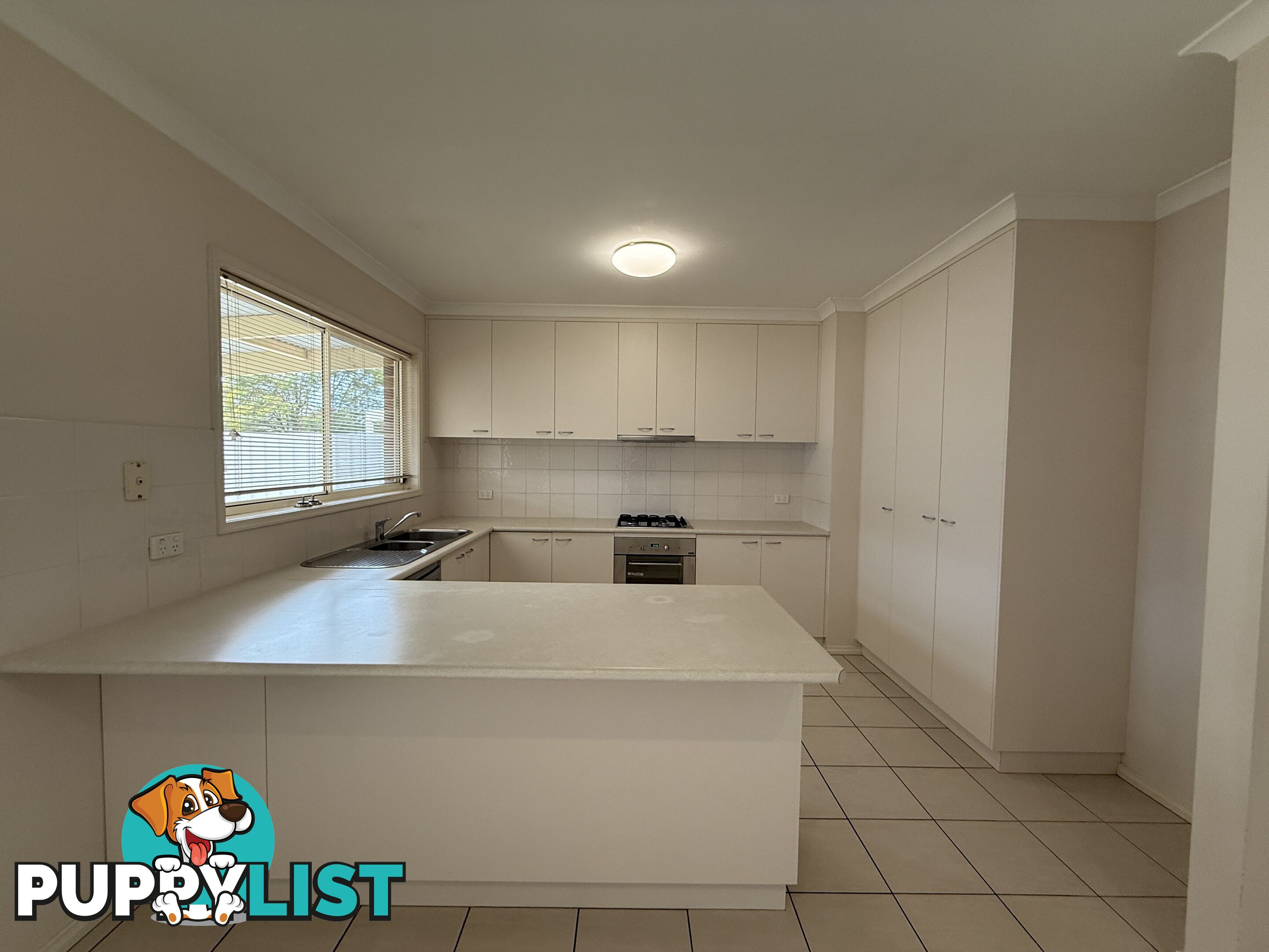 1 338 Wantigong Street NORTH ALBURY NSW 2640