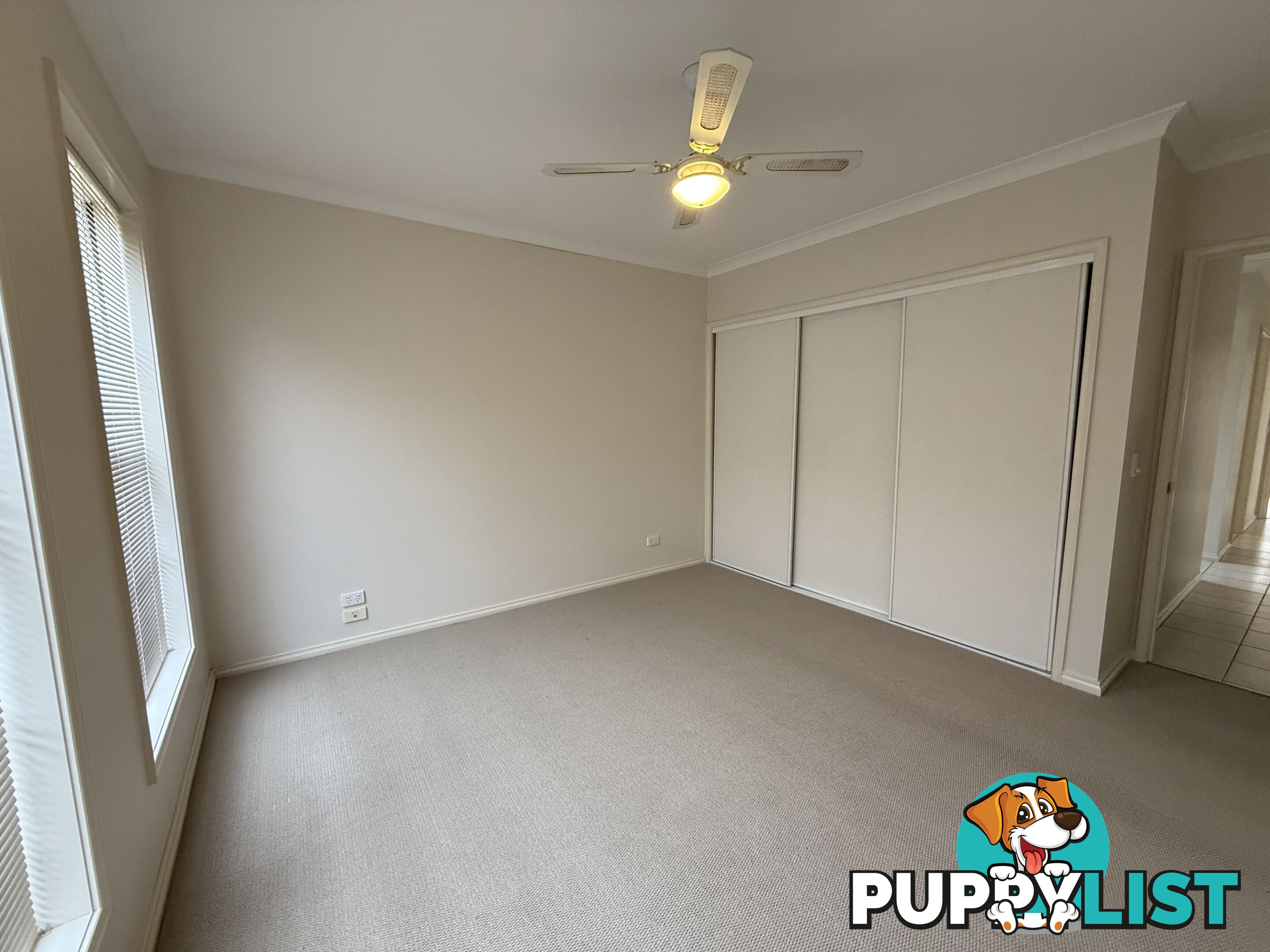 1 338 Wantigong Street NORTH ALBURY NSW 2640
