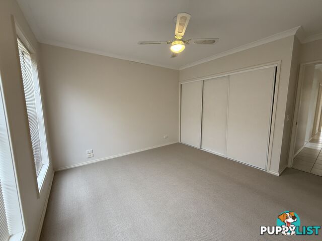 1 338 Wantigong Street NORTH ALBURY NSW 2640