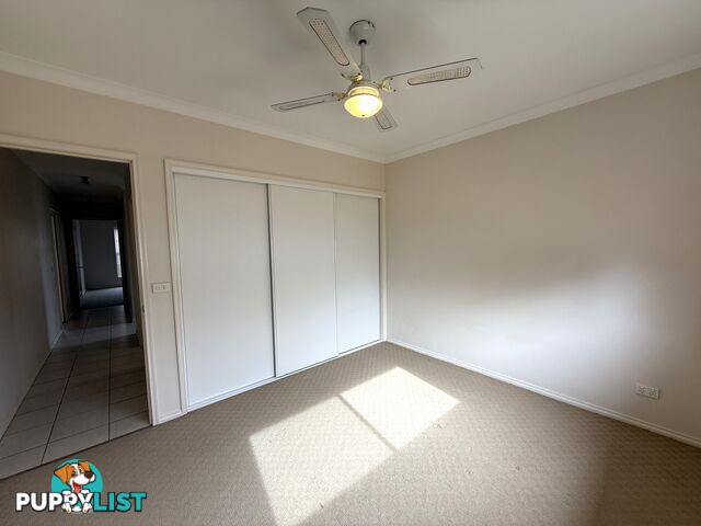 1 338 Wantigong Street NORTH ALBURY NSW 2640