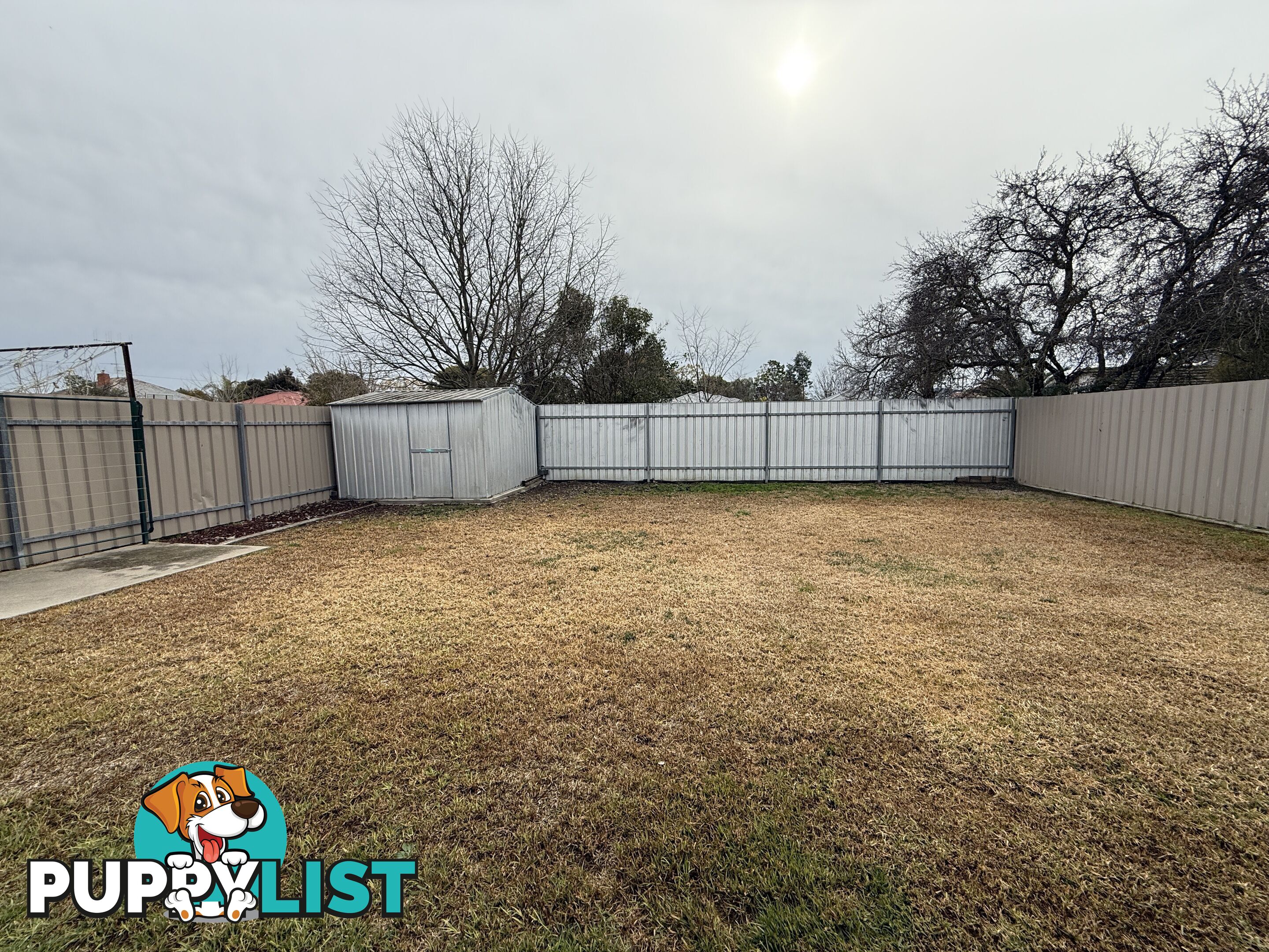 1 338 Wantigong Street NORTH ALBURY NSW 2640