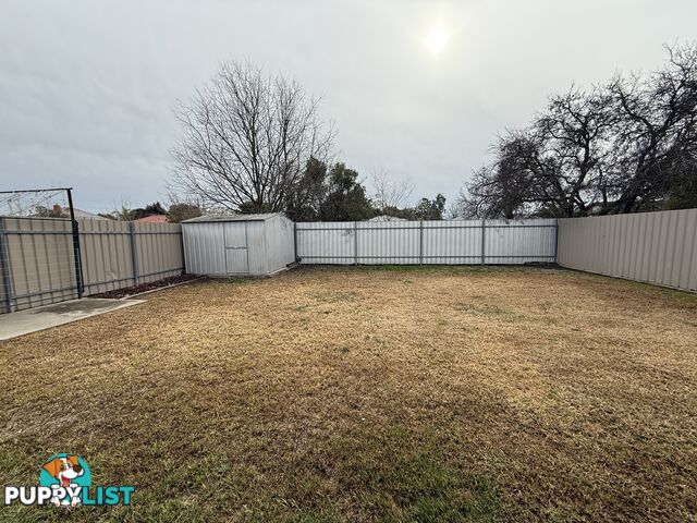 1 338 Wantigong Street NORTH ALBURY NSW 2640
