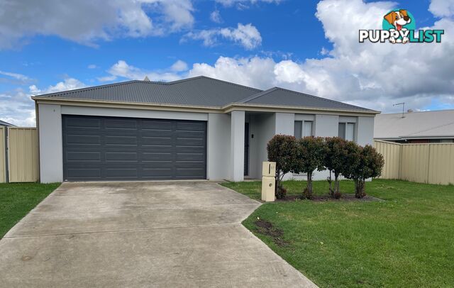 37 Royce Crescent LAVINGTON NSW 2641