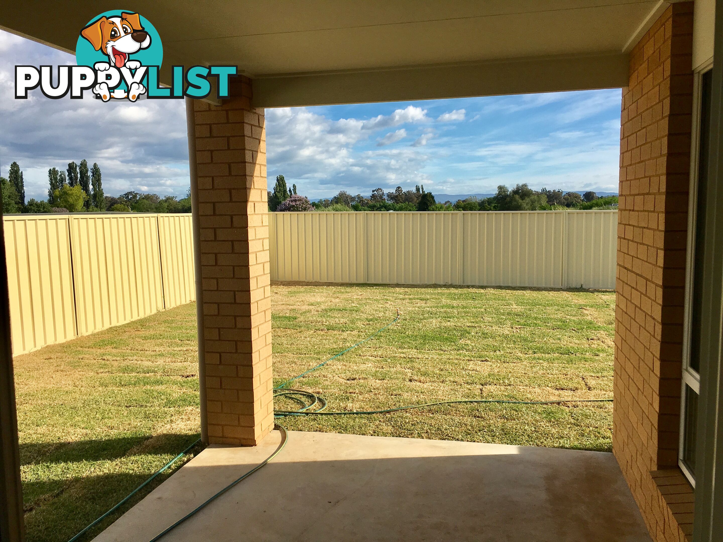 37 Royce Crescent LAVINGTON NSW 2641