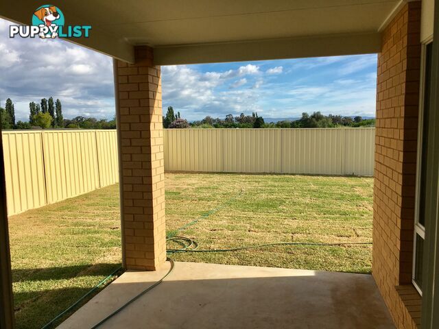 37 Royce Crescent LAVINGTON NSW 2641